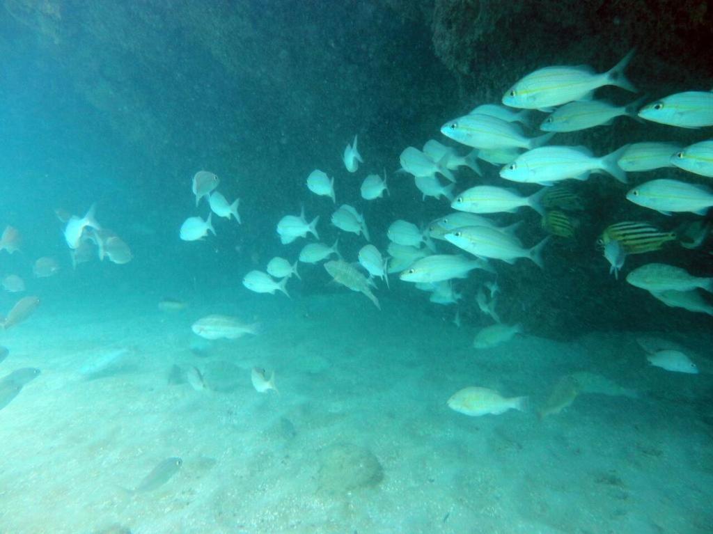 Kitnet Sabrinna Maceió 外观 照片