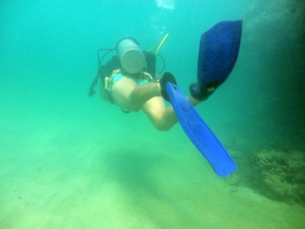 Kitnet Sabrinna Maceió 外观 照片