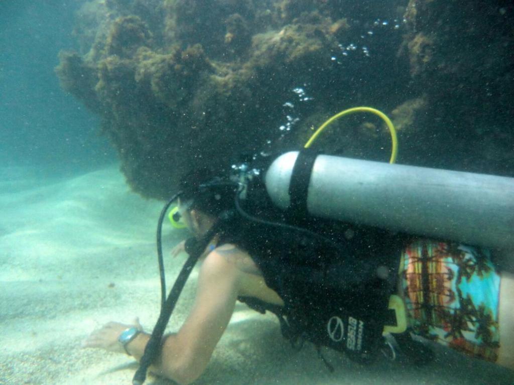 Kitnet Sabrinna Maceió 外观 照片